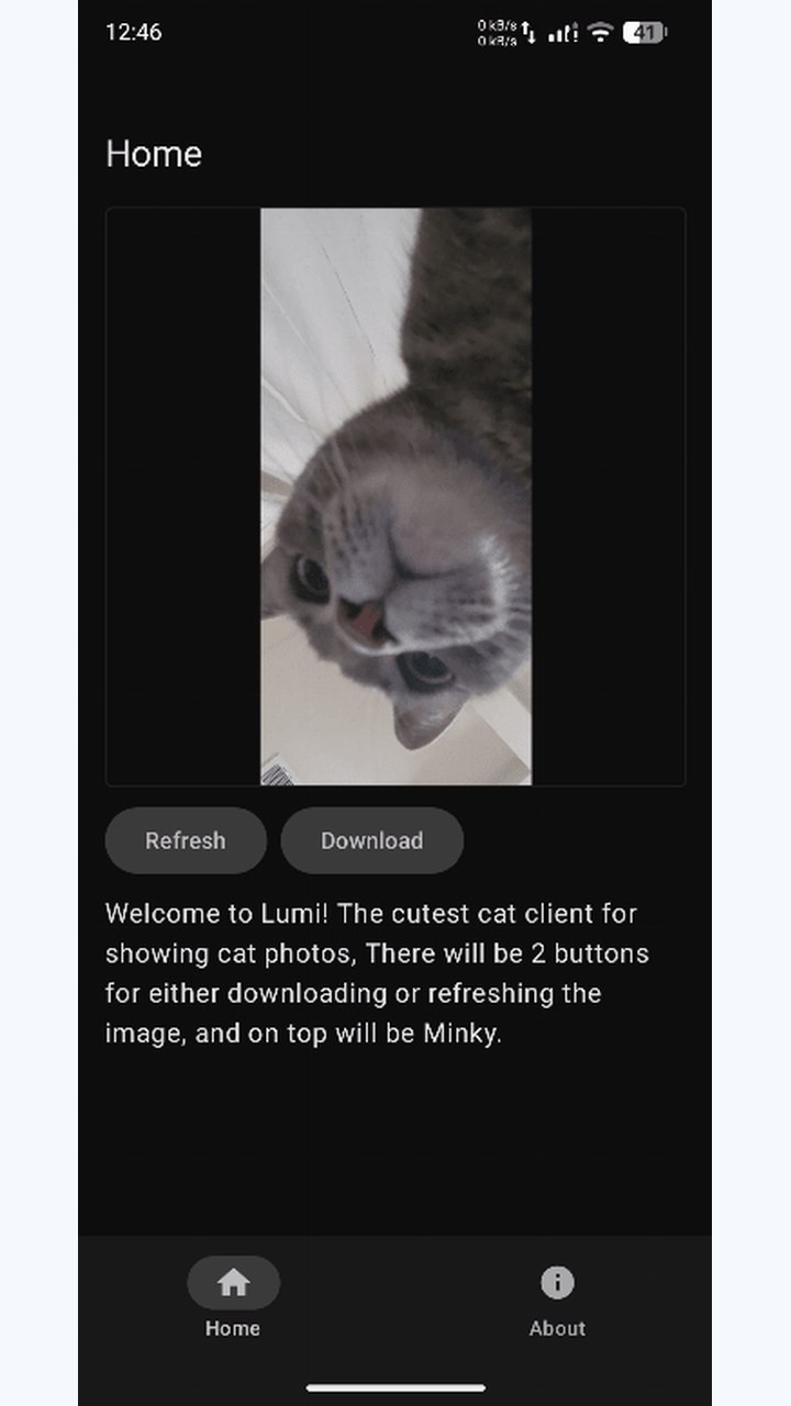 تصویر Lumi