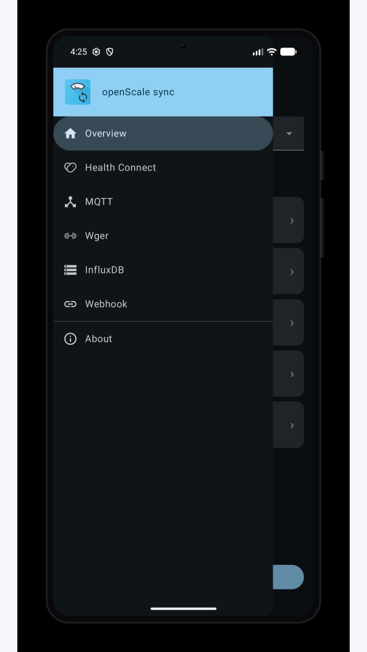تصویر openScale sync