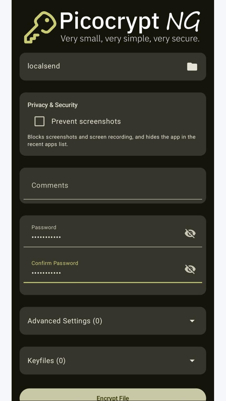 تصویر Picocrypt-NG
