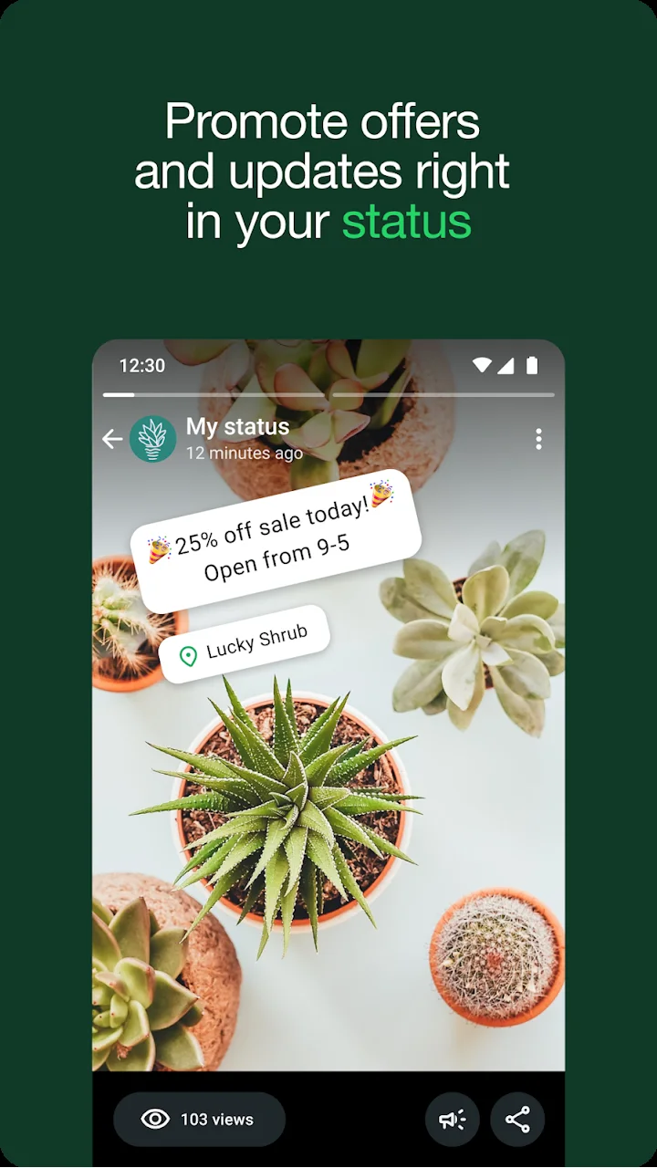 تصویر واتس‌اپ بیزینس