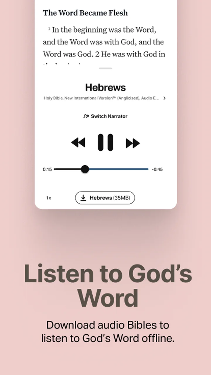 تصویر اپلیکیشن کتاب مقدس آفلاین NIV KJV