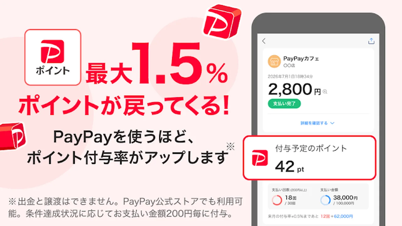 تصویر PayPay
